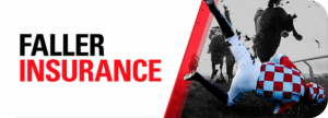 Fallers Insurance